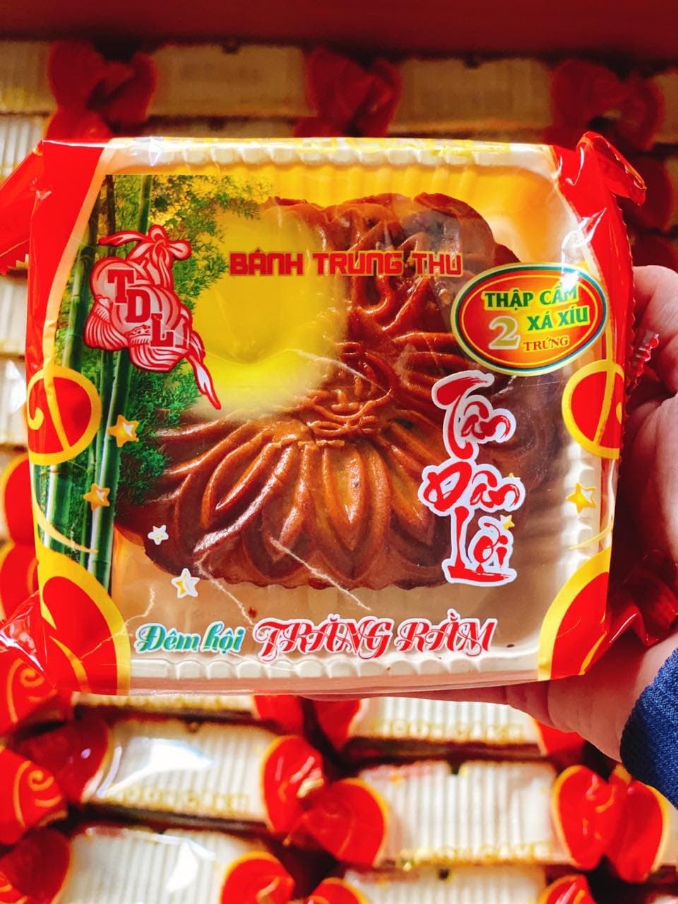 Bánh trung thu thập cẩm xá xíu 2 trứng 200G Bánh Tân Dân Lợi