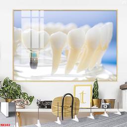 Ảnh sản phẩm