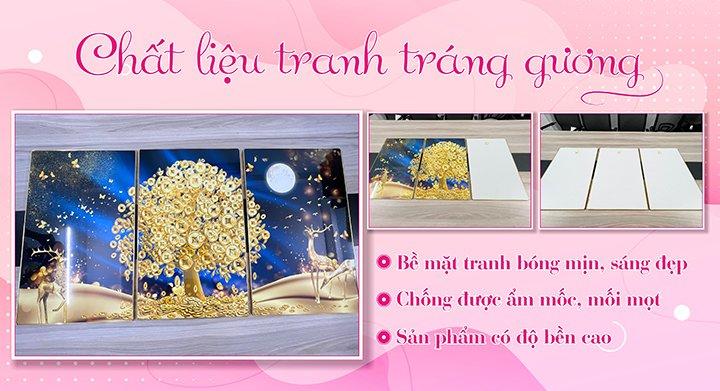 Chất liệu tranh tráng gương