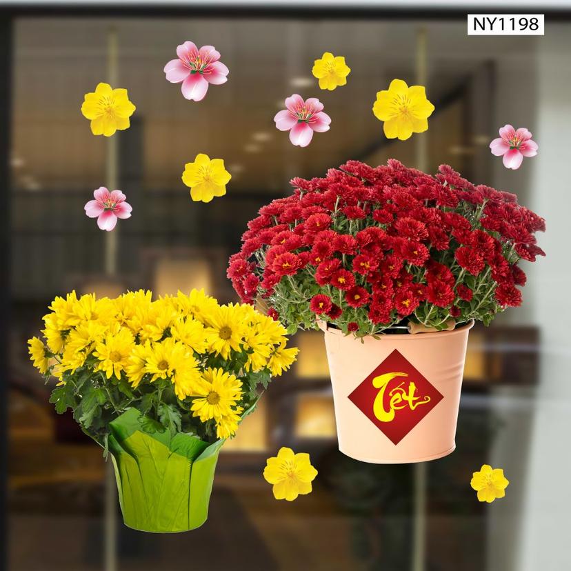 Ảnh sản phẩm