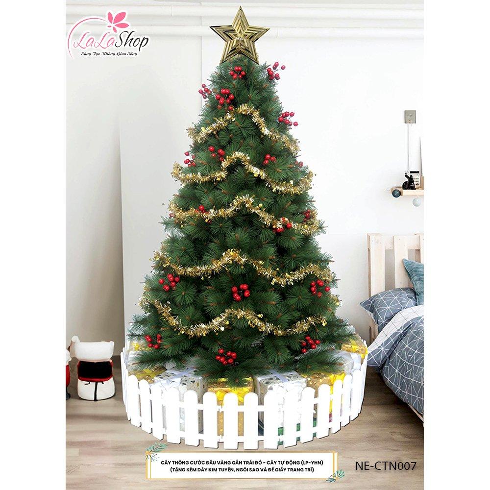 Cây thông noel cước đầu vàng gắn trái đỏ