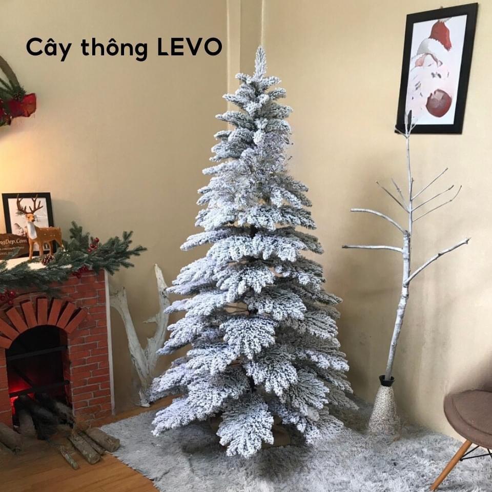 Cây Thông Levo Phủ Tuyết Cành Treo