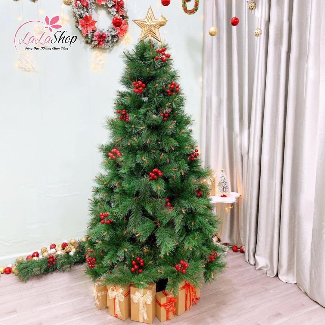 Cây thông noel cước đầu vàng gắn trái đỏ