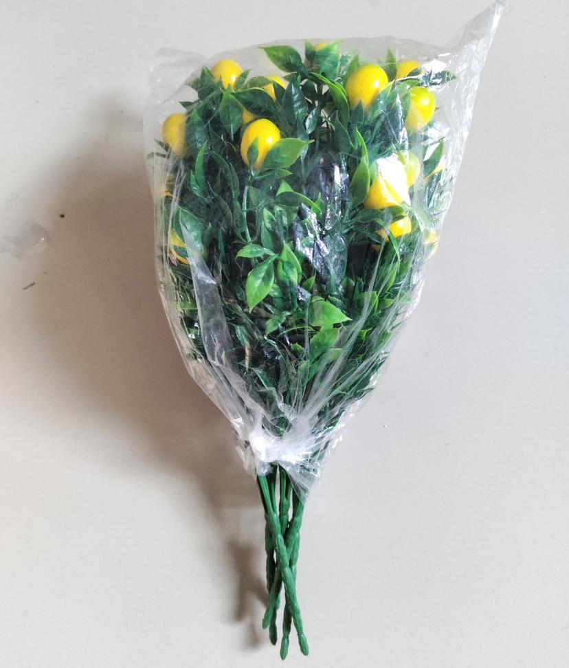 Ảnh sản phẩm