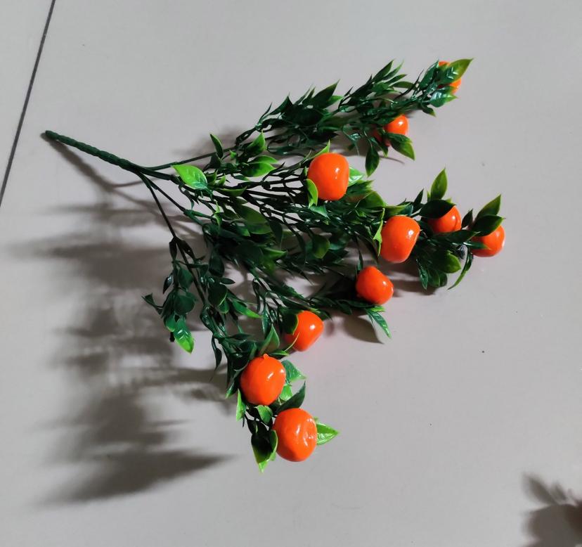 Ảnh sản phẩm