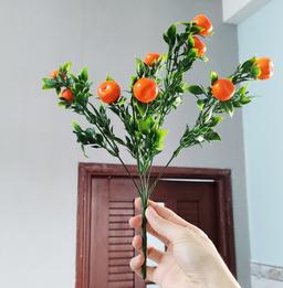Ảnh sản phẩm