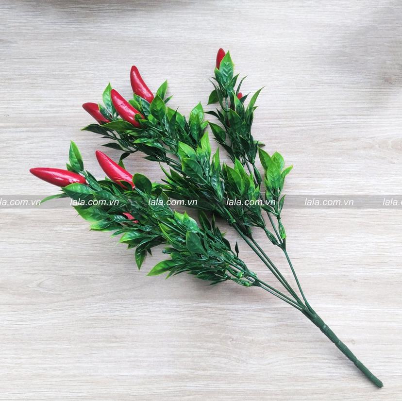 Ảnh sản phẩm