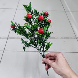 Ảnh sản phẩm