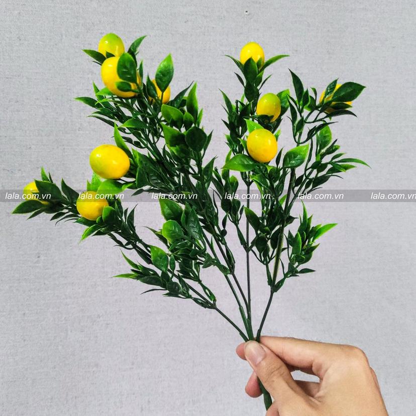 Ảnh sản phẩm