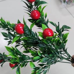 Ảnh sản phẩm