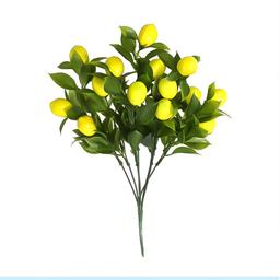 Ảnh sản phẩm