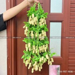 Ảnh sản phẩm