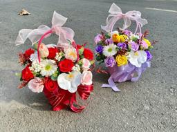 Ảnh sản phẩm