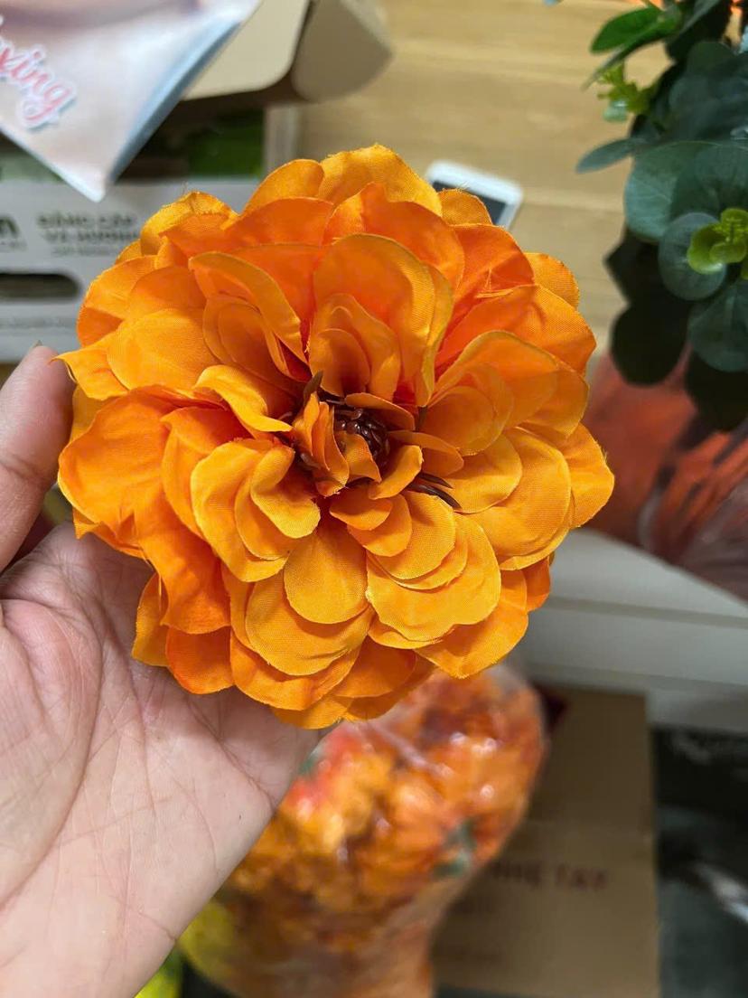 Ảnh sản phẩm