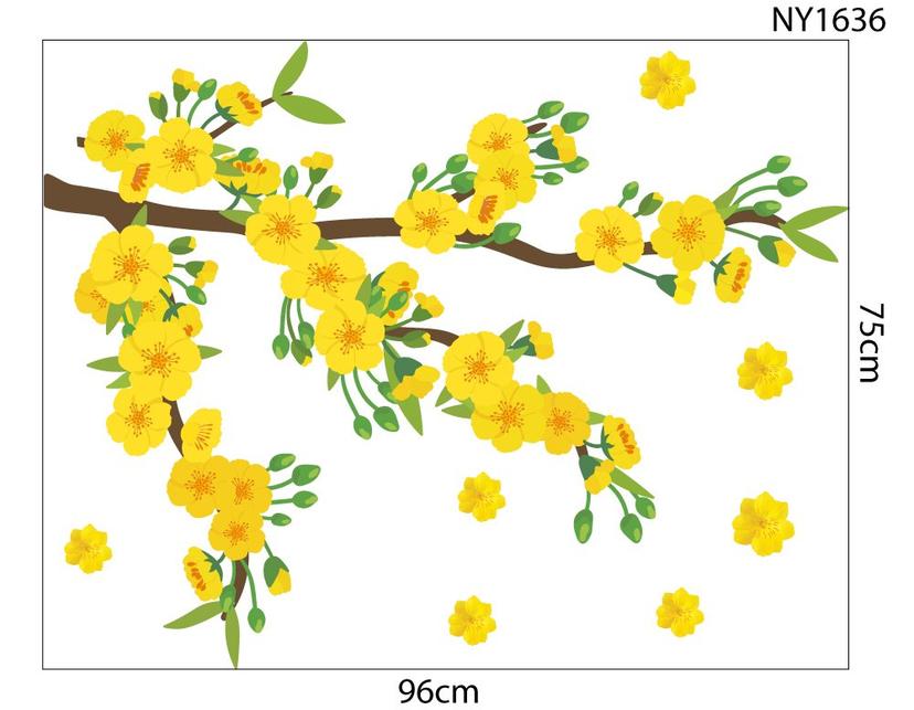 Ảnh sản phẩm