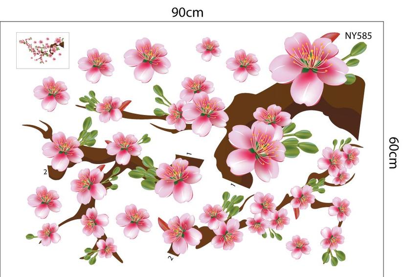 Ảnh sản phẩm