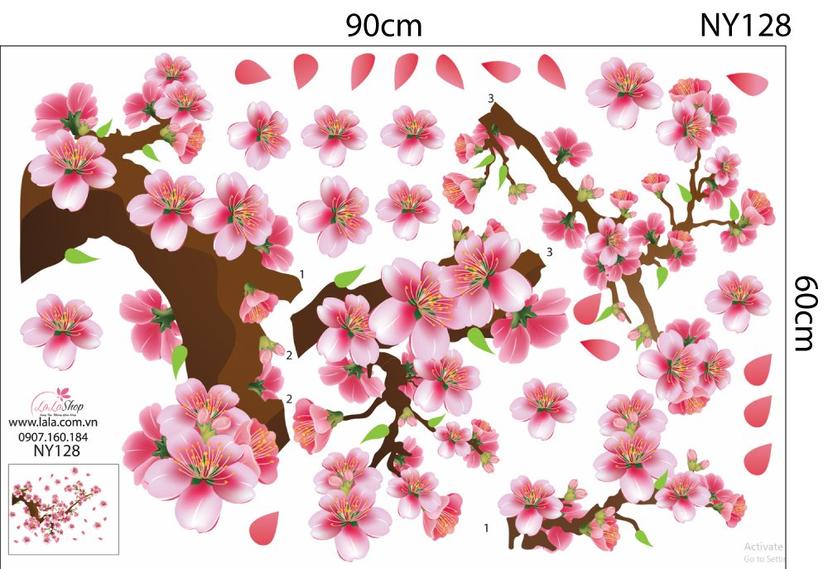 Ảnh sản phẩm