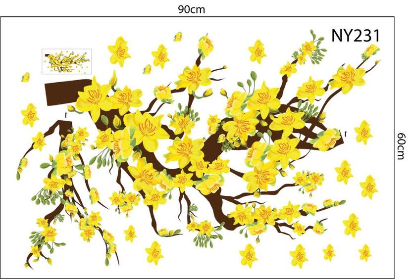 Ảnh sản phẩm