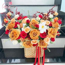 Ảnh sản phẩm