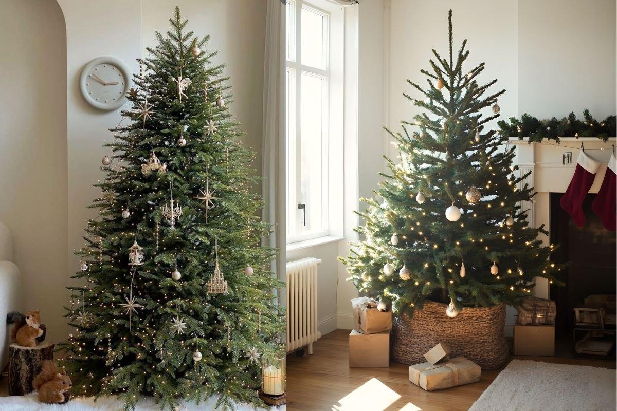 Trang trí cây Thông Noel