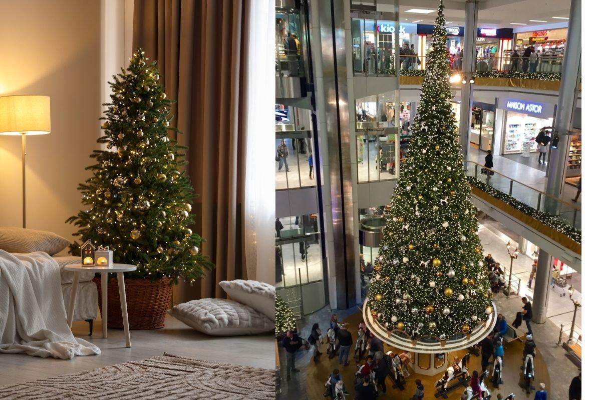 Trang trí cây Thông Noel