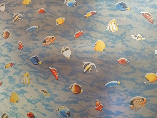 Decal cuộn kính mờ đàn cá sắc màu khổ 0.9m (112)