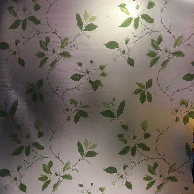 Giấy decal cuộn kính mờ cành lá xanh hoa trắng