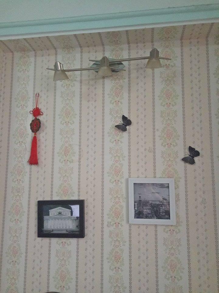 Giấy decal cuộn lá xanh