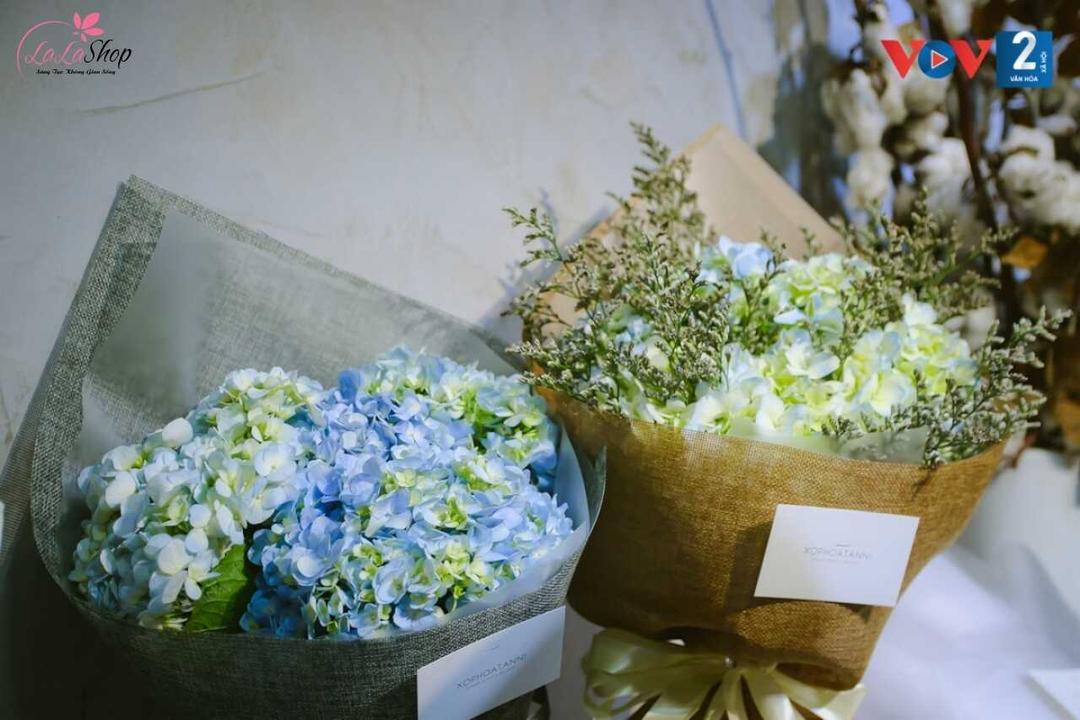 Hoa cẩm tú cầu tượng trưng cho sự trân trọng và lòng biết ơn