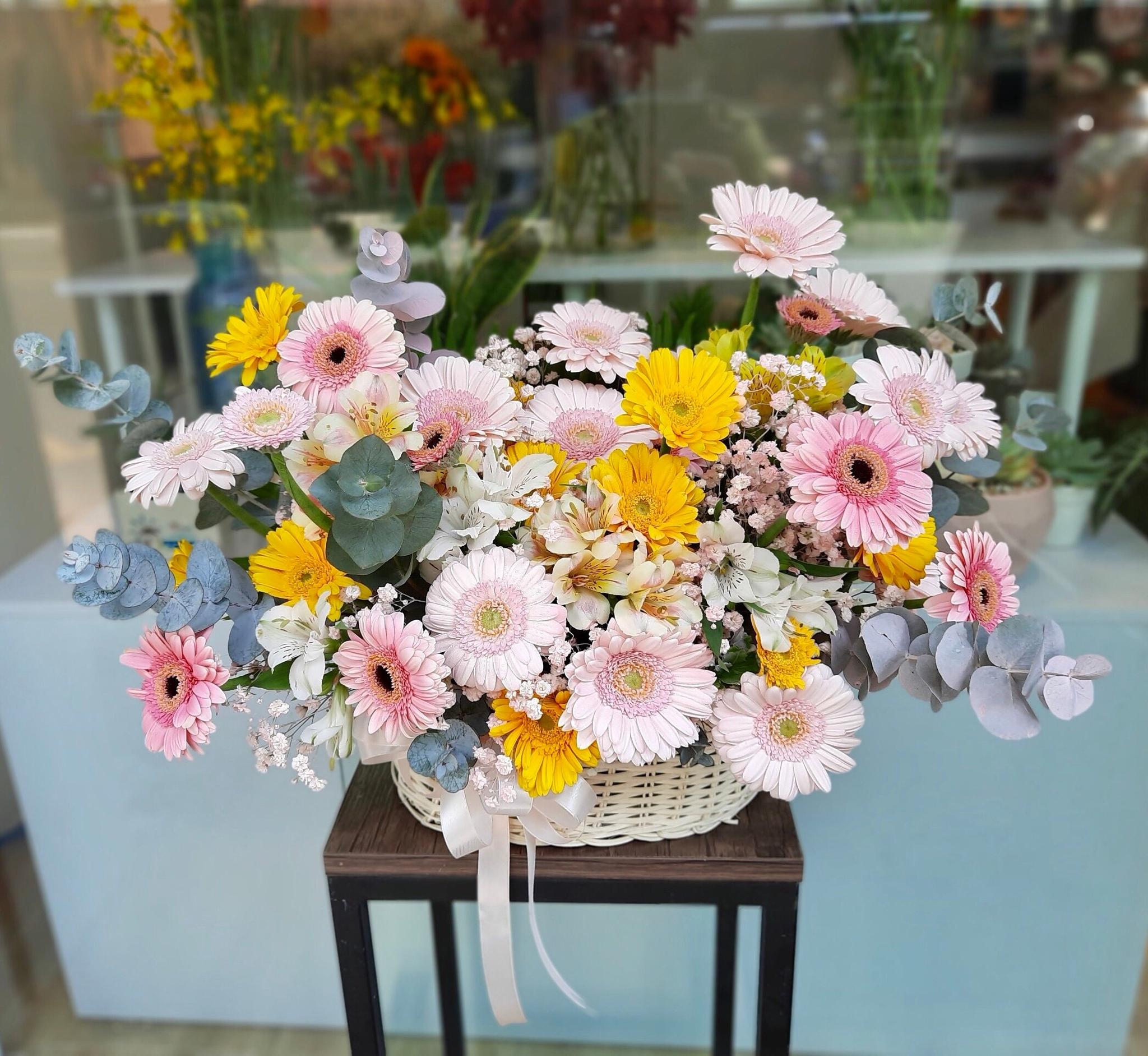 Hoa tặng 20/10 - Hoa đồng tiền tượng trưng cho sự thuần khiết và lòng biết ơn sâu sắc