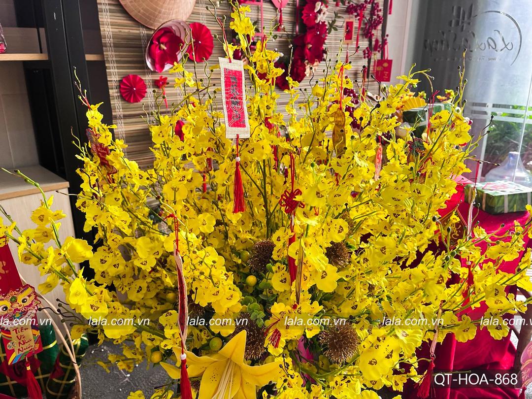 Chậu hoa mai vàng tài lộc đầy nhà đón tết mẫu 868