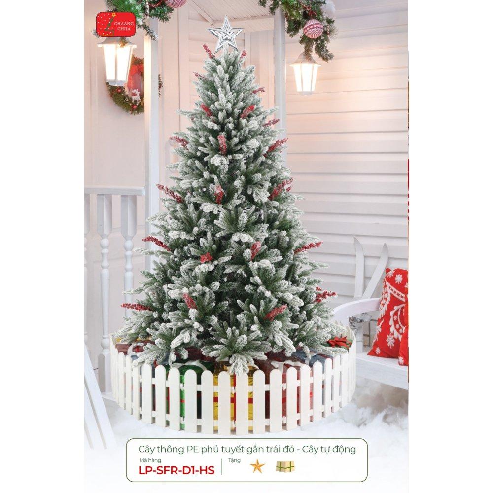 Cây thông PE phủ tuyết gắn trái đỏ - cây tự động