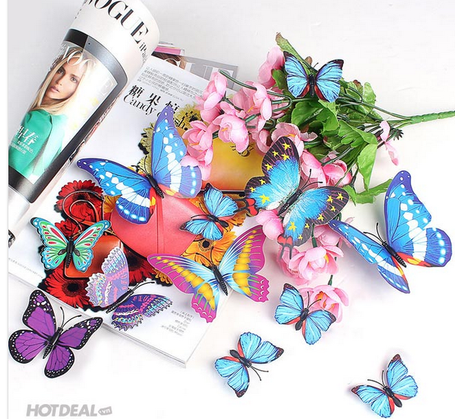 Bướm 3D bộ 12 con