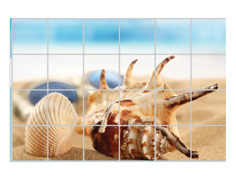 Decal dán bếp vỏ ốc 2 size 60x90cm