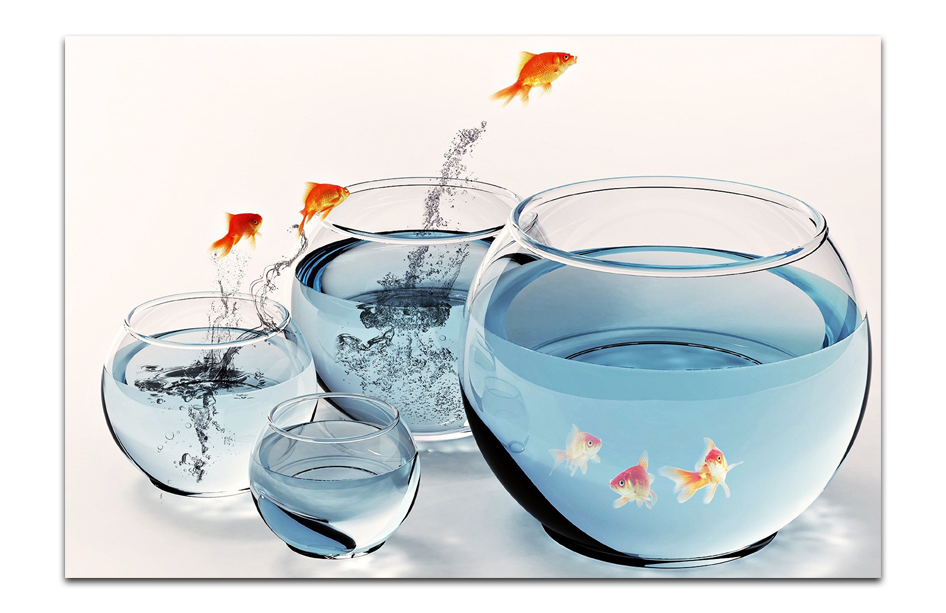 Tranh treo tường bể cá vàng nghệ thuật