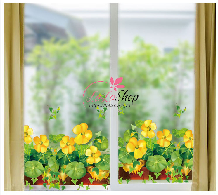 Chân tường cỏ may mắn