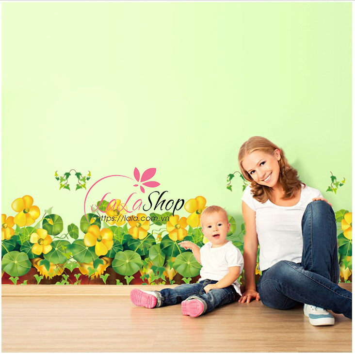 Chân tường cỏ may mắn