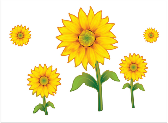 Hoa hướng dương 2